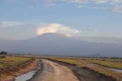 Mount-Kilimanjaro-Ambosei-Kenya-Mamis