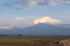 Serengeti-Mamis-Beach-Tours